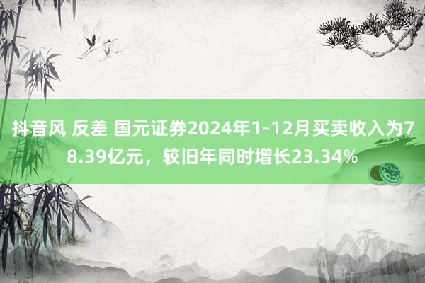 抖音风 反差 国元证券2024年1-12月买卖收入为78.39亿元，较旧年同时增长23.34%