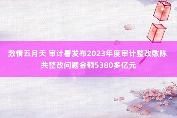 激情五月天 审计署发布2023年度审计整改敷陈 共整改问题金额5380多亿元