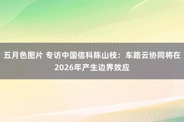 五月色图片 专访中国信科陈山枝：车路云协同将在2026年产生边界效应