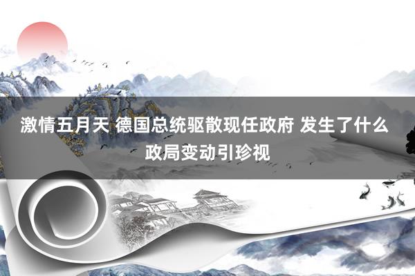 激情五月天 德国总统驱散现任政府 发生了什么 政局变动引珍视