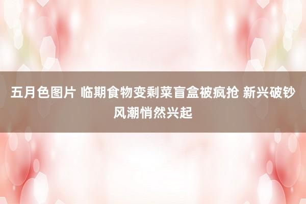 五月色图片 临期食物变剩菜盲盒被疯抢 新兴破钞风潮悄然兴起
