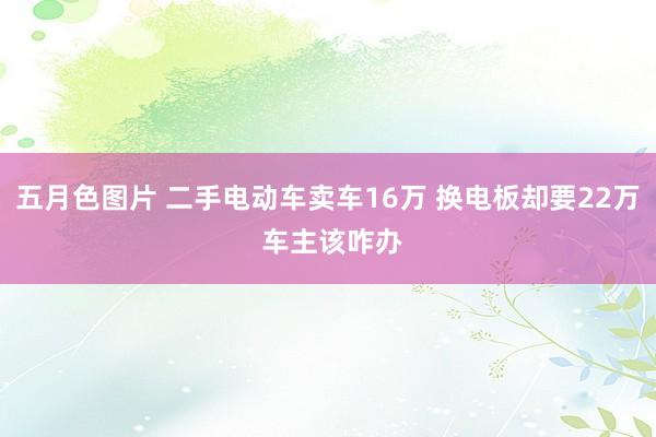 五月色图片 二手电动车卖车16万 换电板却要22万 车主该咋办