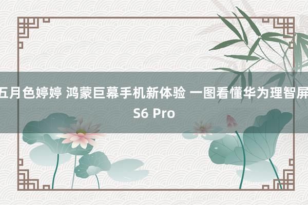 五月色婷婷 鸿蒙巨幕手机新体验 一图看懂华为理智屏 S6 Pro
