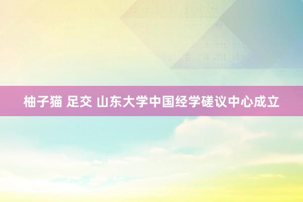 柚子猫 足交 山东大学中国经学磋议中心成立