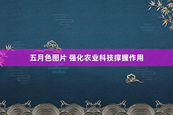五月色图片 强化农业科技撑握作用