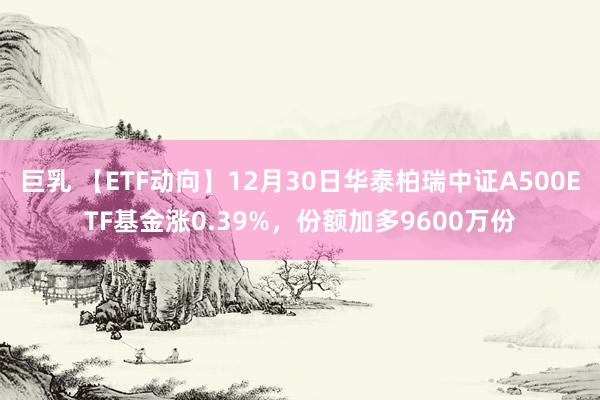 巨乳 【ETF动向】12月30日华泰柏瑞中证A500ETF基金涨0.39%，份额加多9600万份