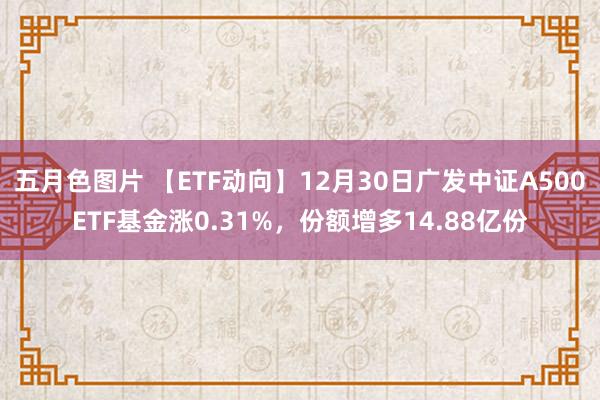 五月色图片 【ETF动向】12月30日广发中证A500ETF基金涨0.31%，份额增多14.88亿份