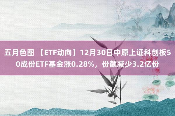 五月色图 【ETF动向】12月30日中原上证科创板50成份ETF基金涨0.28%，份额减少3.2亿份