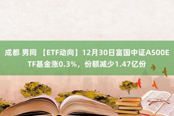 成都 男同 【ETF动向】12月30日富国中证A500ETF基金涨0.3%，份额减少1.47亿份
