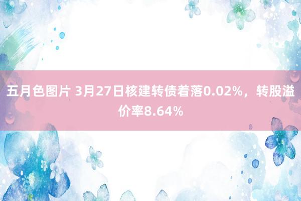 五月色图片 3月27日核建转债着落0.02%，转股溢价率8.64%