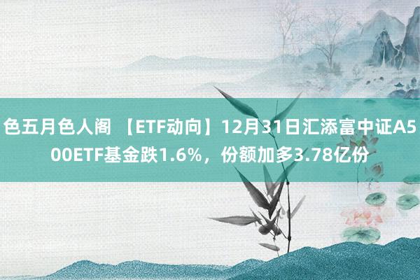 色五月色人阁 【ETF动向】12月31日汇添富中证A500ETF基金跌1.6%，份额加多3.78亿份