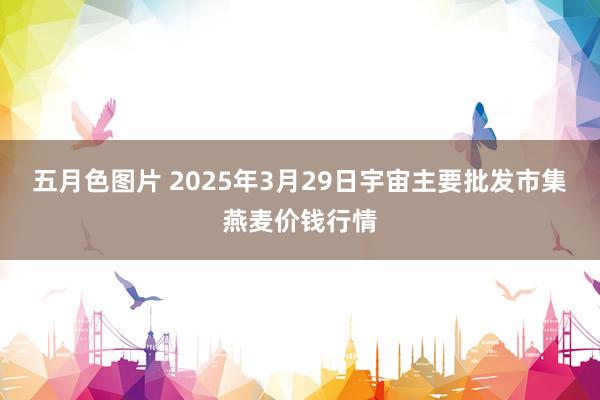 五月色图片 2025年3月29日宇宙主要批发市集燕麦价钱行情