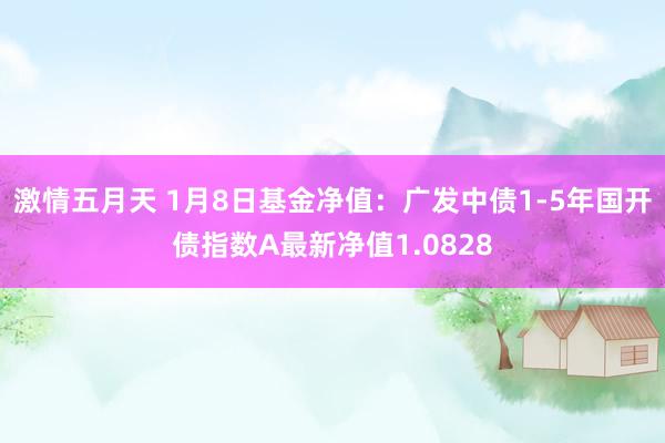 激情五月天 1月8日基金净值：广发中债1-5年国开债指数A最新净值1.0828