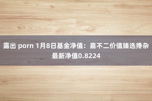 露出 porn 1月8日基金净值：嘉不二价值臻选搀杂最新净值0.8224