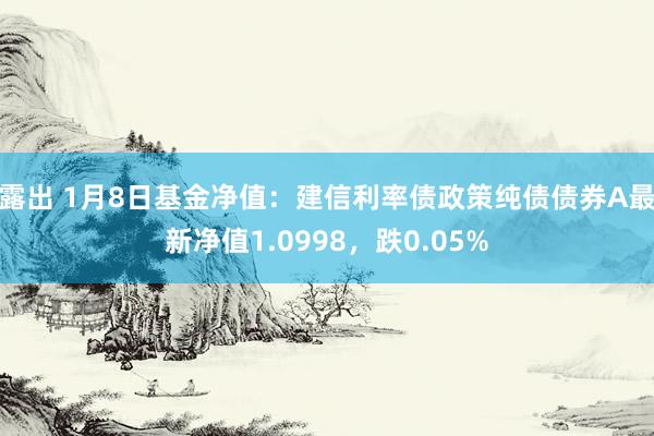 露出 1月8日基金净值：建信利率债政策纯债债券A最新净值1.0998，跌0.05%