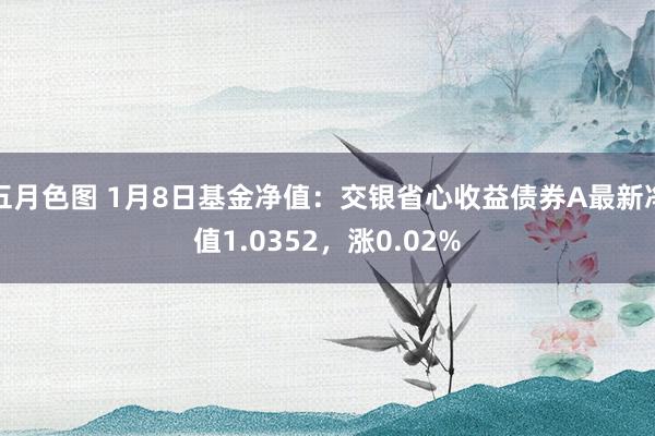 五月色图 1月8日基金净值：交银省心收益债券A最新净值1.0352，涨0.02%