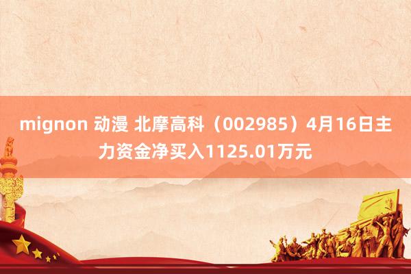 mignon 动漫 北摩高科（002985）4月16日主力资金净买入1125.01万元