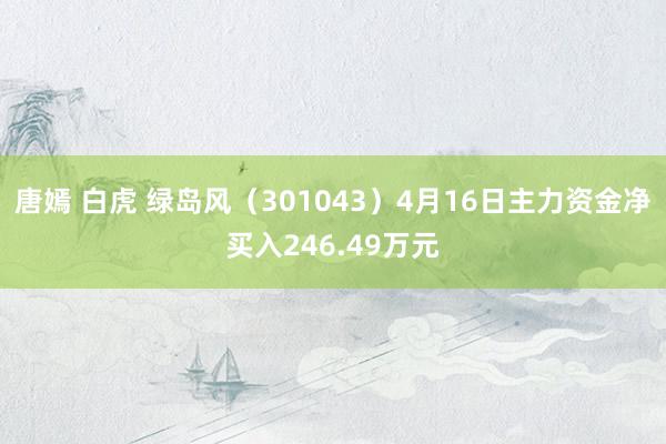 唐嫣 白虎 绿岛风（301043）4月16日主力资金净买入246.49万元