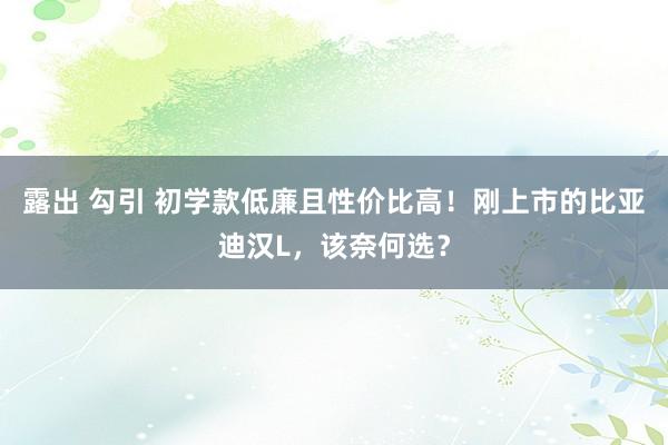 露出 勾引 初学款低廉且性价比高！刚上市的比亚迪汉L，该奈何选？
