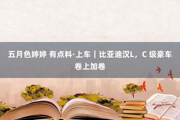 五月色婷婷 有点料·上车｜比亚迪汉L，C 级豪车卷上加卷