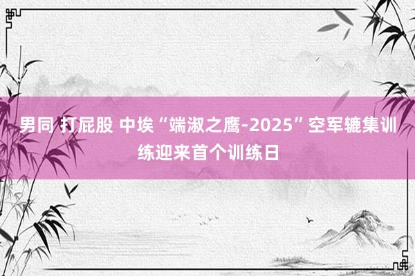男同 打屁股 中埃“端淑之鹰-2025”空军辘集训练迎来首个训练日