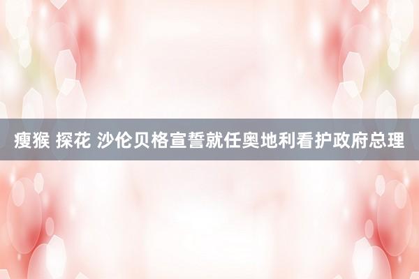 瘦猴 探花 沙伦贝格宣誓就任奥地利看护政府总理