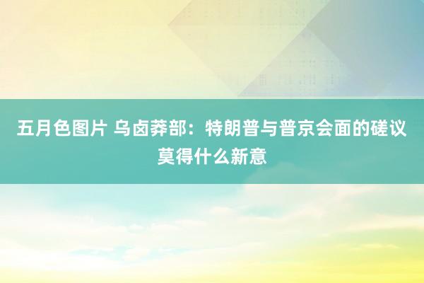 五月色图片 乌卤莽部：特朗普与普京会面的磋议莫得什么新意