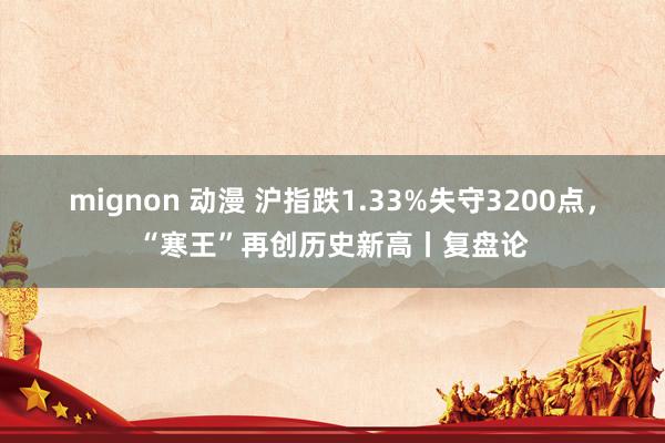 mignon 动漫 沪指跌1.33%失守3200点，“寒王”再创历史新高丨复盘论