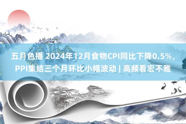 五月色播 2024年12月食物CPI同比下降0.5%，PPI集结三个月环比小幅波动 | 高频看宏不雅