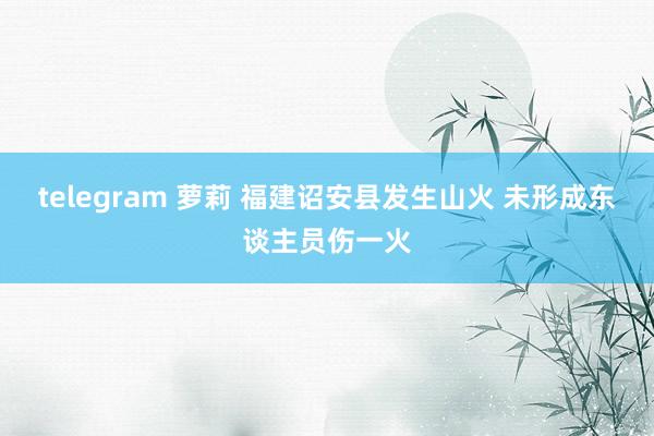 telegram 萝莉 福建诏安县发生山火 未形成东谈主员伤一火