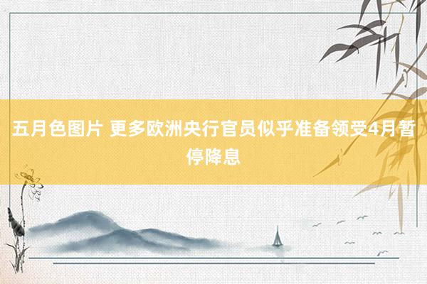 五月色图片 更多欧洲央行官员似乎准备领受4月暂停降息