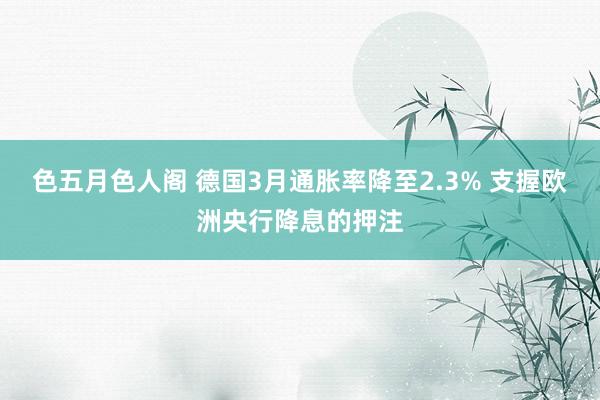 色五月色人阁 德国3月通胀率降至2.3% 支握欧洲央行降息的押注