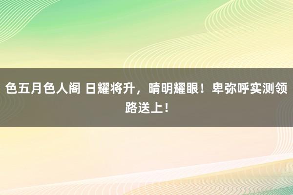 色五月色人阁 日耀将升，晴明耀眼！卑弥呼实测领路送上！
