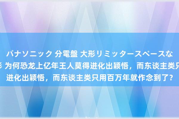 パナソニック 分電盤 大形リミッタースペースなし 露出・半埋込両用形 为何恐龙上亿年王人莫得进化出颖悟，而东谈主类只用百万年就作念到了？