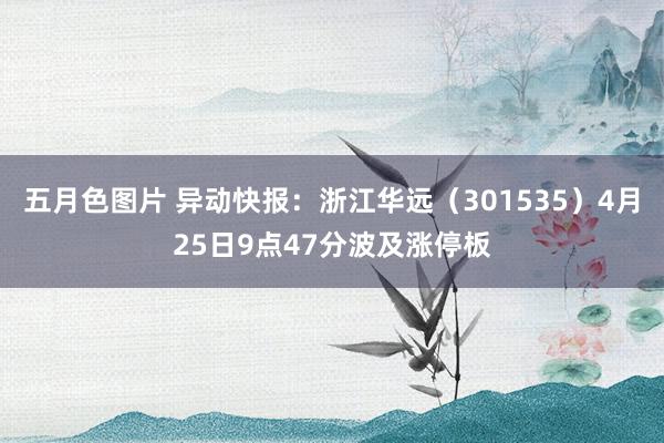 五月色图片 异动快报：浙江华远（301535）4月25日9点47分波及涨停板