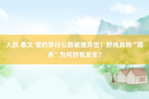 人妖 泰文 雪豹穿行公路被撞弃世！野纯真物“路杀”为何时有发生？